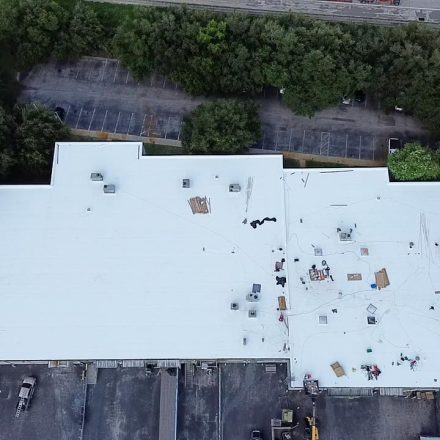 TPO Roofing Tampa